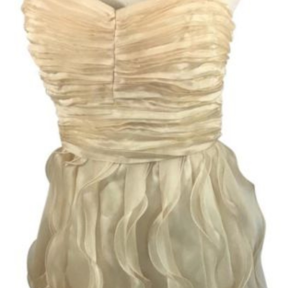 Max and Cleo Short Ruffles Party Cocktail Dress